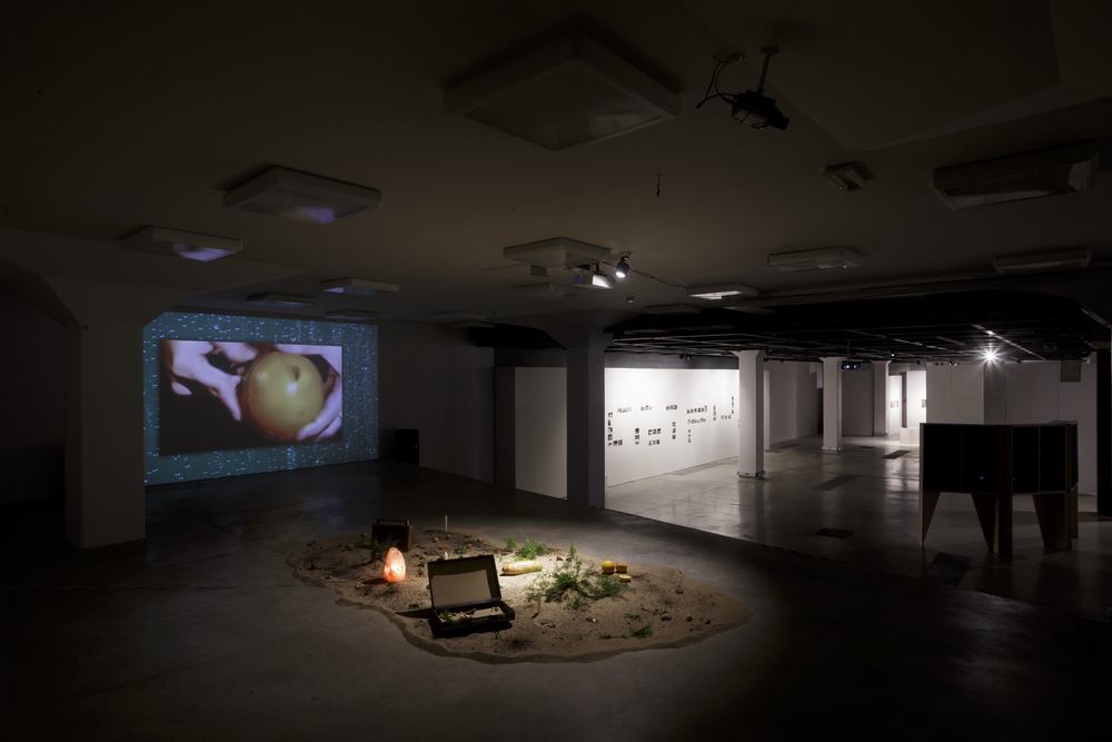 Lost in the Archive<br>Riga Art Space, Riga, Latvia<br>Latvian Center for Contemporary Art